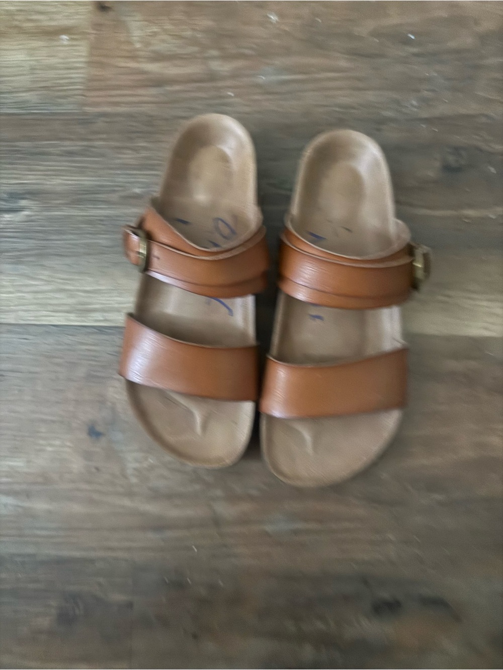 Blowfish Brown Double-Strap Slide Sandals with Buckle